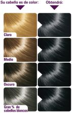 Radiant No. 10 Black