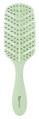 Biofriendly Biodegradable Skeleton Brush Biofriendly Biodegradable Skeleton Brush