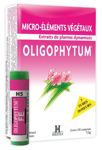 Hol&iacute;stica Oligophytum Zinc 100 gr