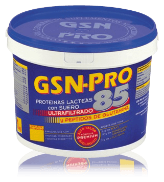 Gsn-Pro 85 Chocolate Flavor Gsn-Pro 85 Chocolate Flavor
