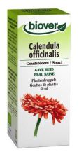 Calendula Officinalis 50 ml