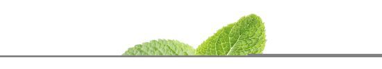 Organic Fresh Breath Gummies