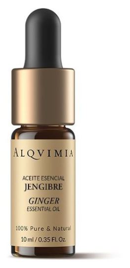 Ginger Essential Oil 10 ml